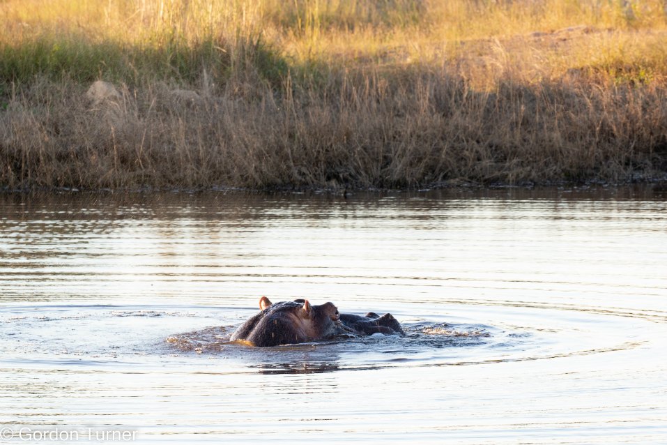 <h2>The Best of South Africa Escorted 2023</h2> 14 Nights | 6 Rounds | March 11 - 25